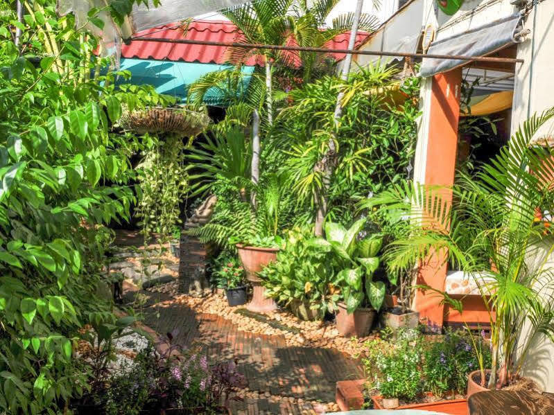 All In 1 Guesthouse Чиангмай Экстерьер фото